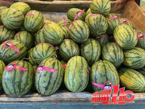 吃瓜爆料柳州视频大全集,视频大全集精彩回顾