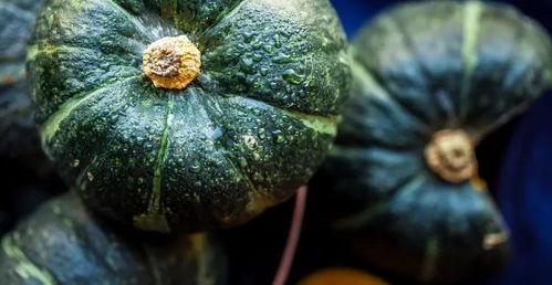 真实缅北吃瓜图片高清视频,高清视频带你直击现场