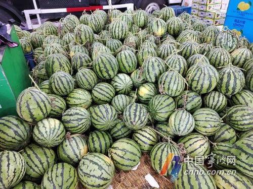 浙江宁波吃瓜视频,一场视觉与味觉的双重盛宴