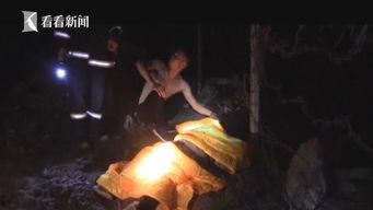 桥上吃瓜跳桥事故视频播放,悲剧瞬间引发安全警示