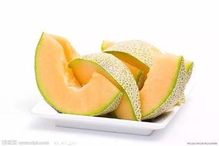 恐龙吃哈密瓜视频