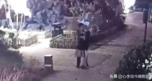 介休吃瓜视频完整版,完整版视频深度解析