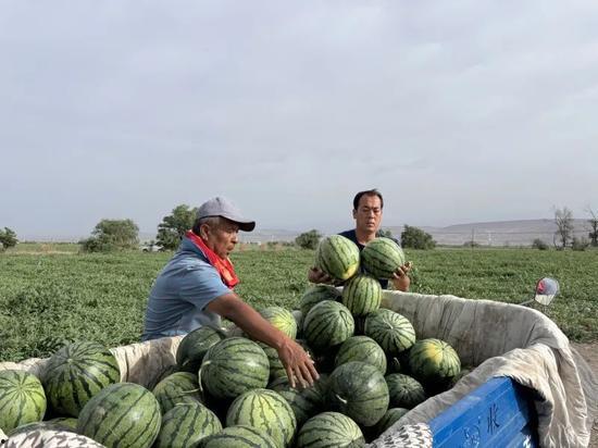 什么叫天天吃瓜视频,短视频时代的娱乐盛宴