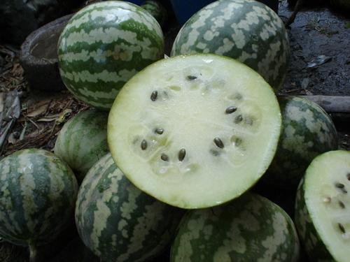 吃瓜怎么剥皮视频