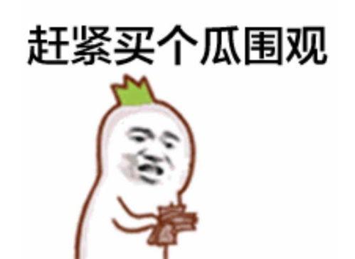 吃瓜群众小玖儿视频,揭秘娱乐圈幕后故事