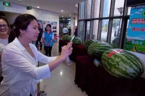 魏县吃瓜新闻报道视频最新,揭秘当地特色美食背后的故事